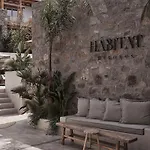 酒店 Amyth Of Mykonos Agios Stefanos (adults Only) 圣斯特凡诺斯