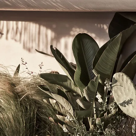 Hotell Amyth Of Mykonos Agios Stefanos (adults Only) 5*