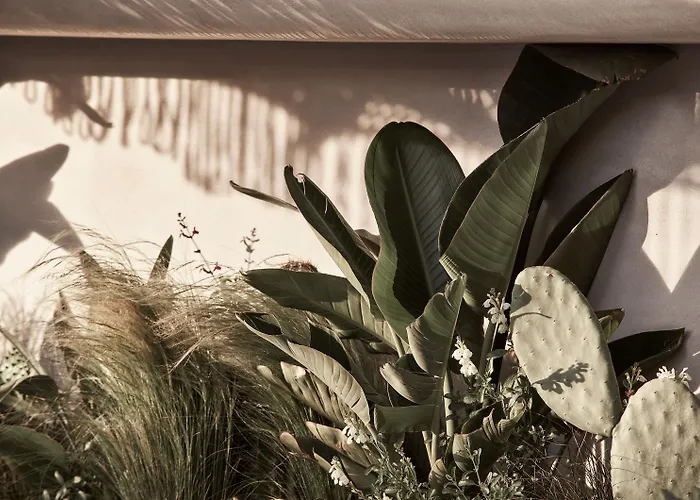 Отель Amyth Of Mykonos Agios Stefanos (adults Only) 5*